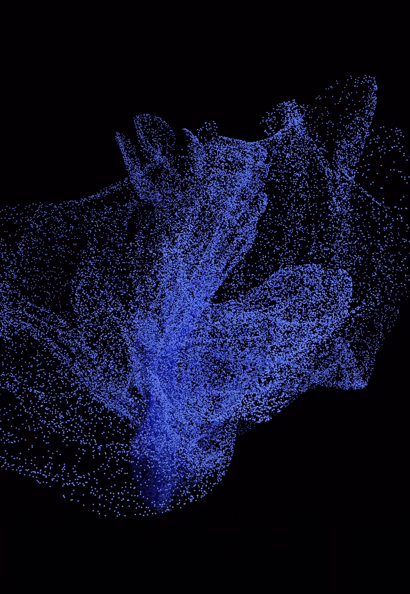 Heliotropism Project — view 6
