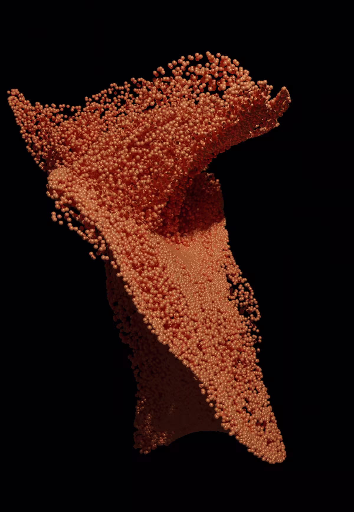 Heliotropism Project — view 2
