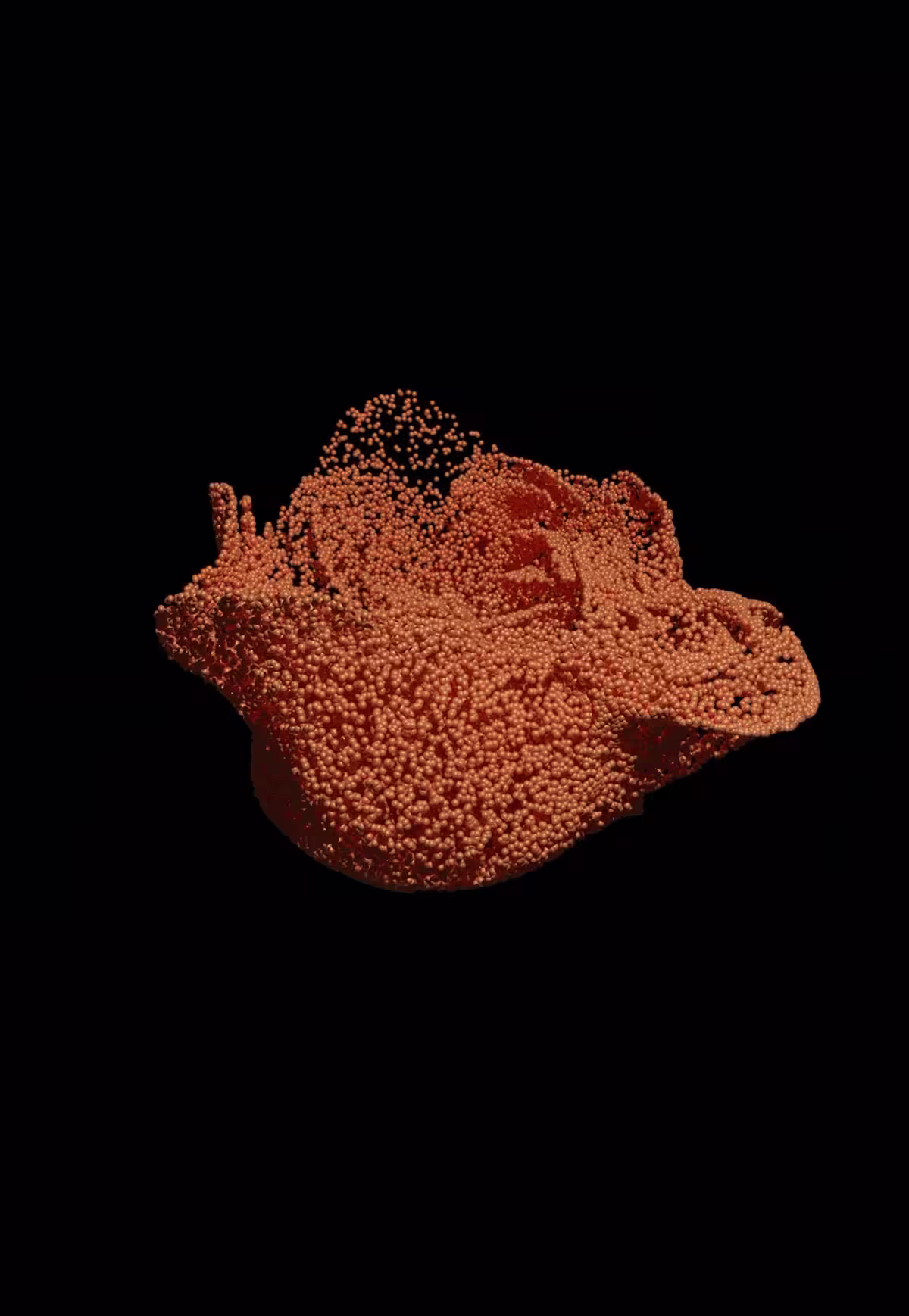 Heliotropism Project — view 3