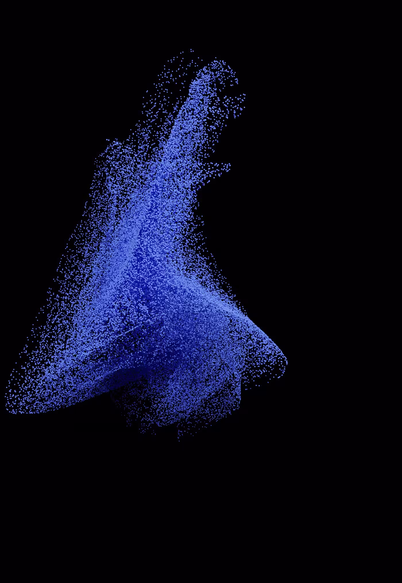 Heliotropism Project — view 5